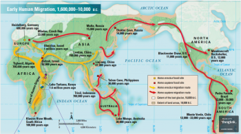 Figure 5: Map showing the earliest migrations of Homo sapiens as well as their interactions with Homo erectus. It also shows the extent of ice sheets and dates of particular sites (Calum 2016).